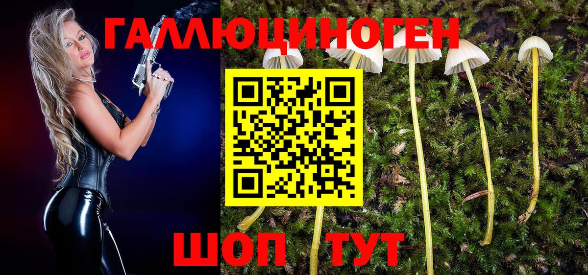 Псилоцибиновые грибы GOLDEN TEACHER Барнаул